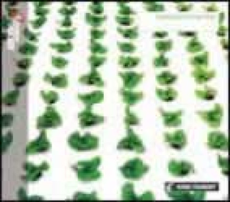 sony hydroponic-hiphopw