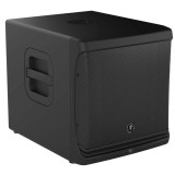 mackie dlm12s