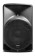 Alto Professional TRUESONIC Express TX12 12" Active Powered Speaker