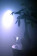 Chauvet DJ COLORDASH PAR LED Wash Light