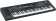 Roland GW-8 Workstation with Intelligent Backing and Song Player