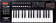 Roland A-300PRO-R Compact 32-Key MIDI Keyboard Controller