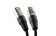 Monster Cable Classic Microphone Cable, 20ft