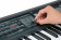 Roland GW-8 Workstation with Intelligent Backing and Song Player