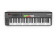 Novation LAUNCHKEY-61 MIDI Keyboard Controller