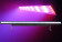 chauvet diamondst