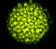 Eliminator Aqua LED 2.0 Multi Color LED Water Effect