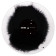 Serato Black Snow Performance Series 2XLP Control Vinyl (PAIR)
