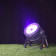 ADJ UV 72IP 72-Watt UV LED Blacklight