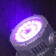 ADJ UV 72IP 72-Watt UV LED Blacklight