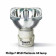 ADJ VIZI SPOT 5R Moving Spot Head with Platinum 5R Lamp