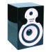 Electrix EX8 8 Two Way Active Power Monitor (EACH)